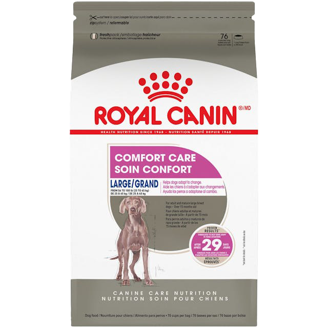 royal canin dry dog food