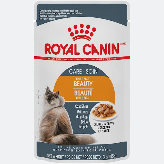 royal canin pouch cat food