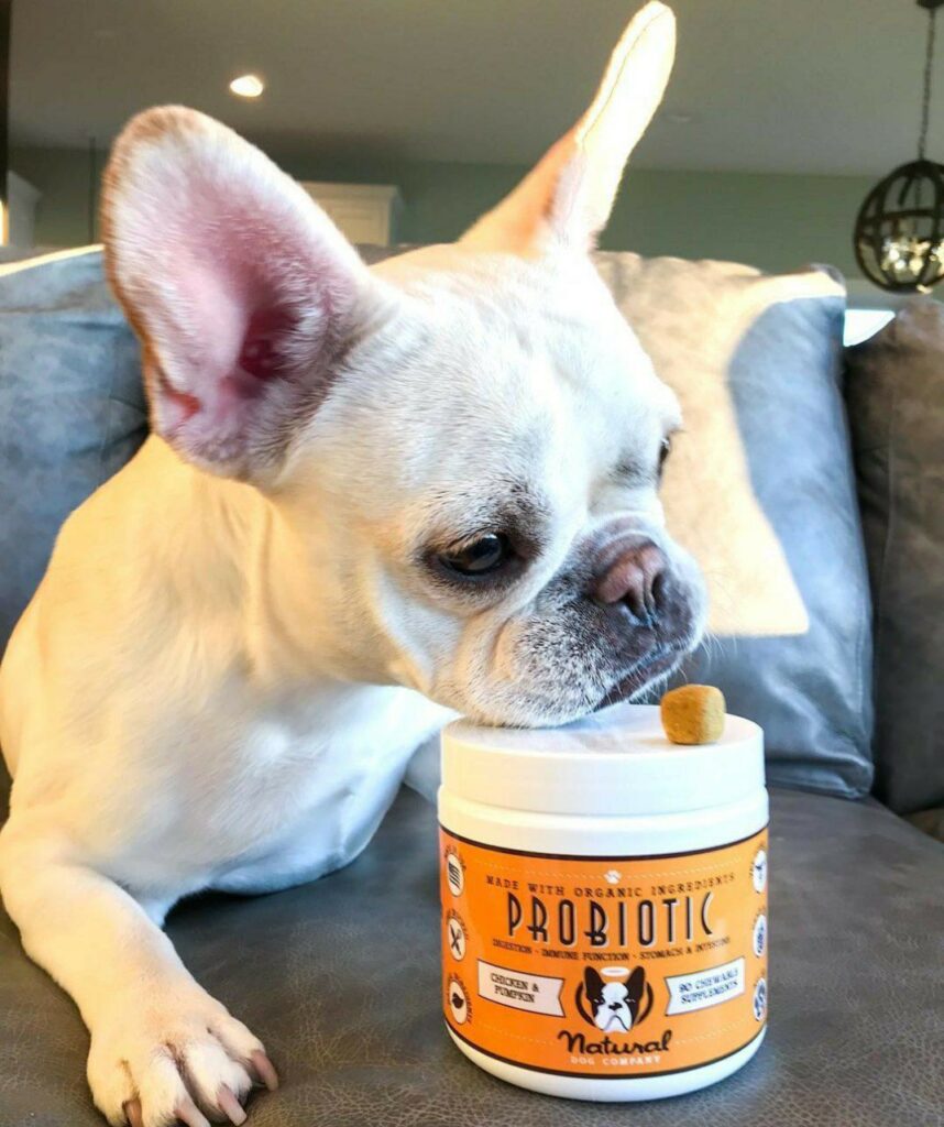 "A healthy, happy dog after taking probiotic supplements."