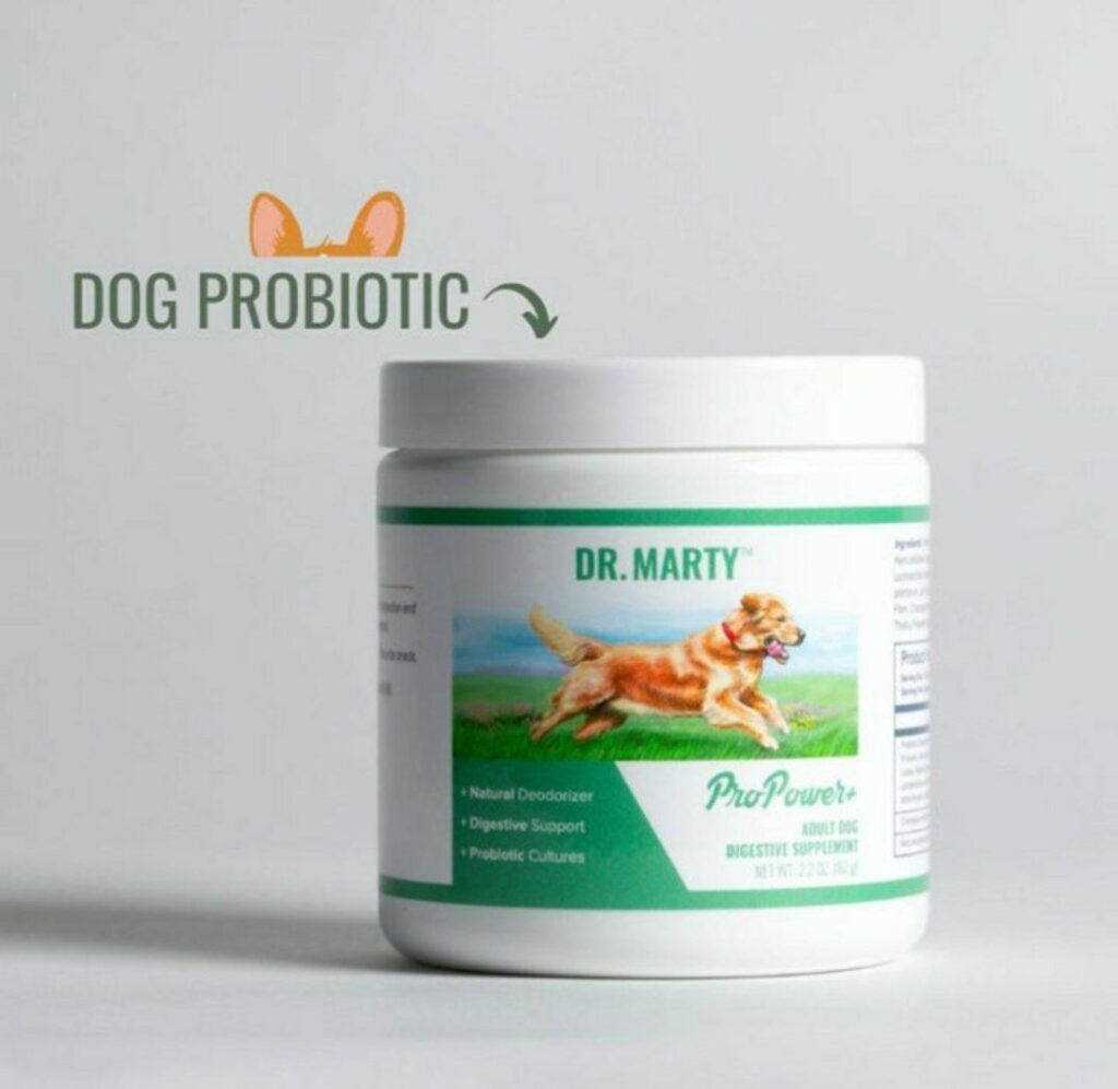 While probiotics are generally safe for dogs, there are a few potential side effects: Digestive Upset: In some cases, introducing probiotics to your dog's diet may initially cause digestive upset, such as gas or diarrhea. This is usually temporary and resolves as your dog's gut adjusts. Allergic Reactions: Although rare, some dogs may have allergic reactions to specific ingredients in probiotic supplements. If you notice any signs of allergies, such as itching, hives, or difficulty breathing, discontinue use and consult your veterinarian immediately. If your dog experiences any side effects, here are some steps you can take: Reduce the Dosage: Try reducing the amount of probiotics your dog is receiving. Temporarily Discontinue: If the side effects persist, consider temporarily stopping the probiotic. Consult Your Veterinarian: Your veterinarian can help determine the cause of the side effects and recommend alternative options. Remember, it's important to monitor your dog's response to probiotics and consult with your veterinarian if you have any concerns.